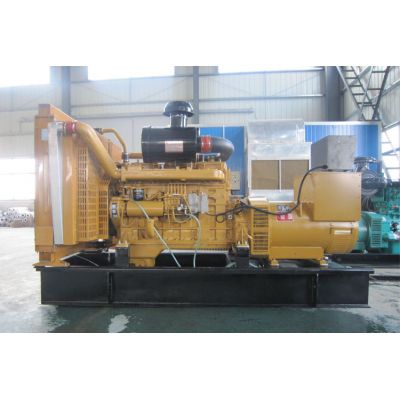 300kw上柴正新柴油發(fā)電機(jī)組-上柴正新6缸柴油機(jī)G128ZLD11柴油發(fā)電機(jī)組,缸徑/行程：135/150mm,柴油發(fā)電機(jī)組水冷發(fā)動(dòng)機(jī)功率306KW,柴油發(fā)電機(jī)組配套馬拉松斯坦福發(fā)電機(jī)。廠價(jià)直銷歡迎選購(gòu)：13773399855。
