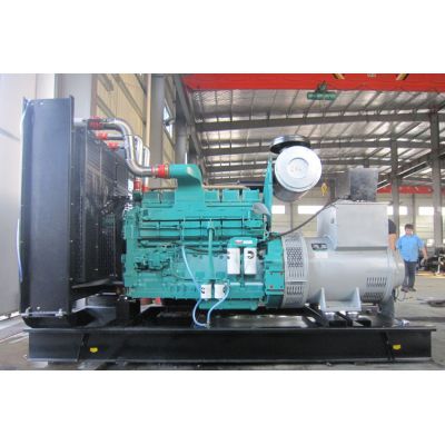 250kw重慶康明斯柴油發(fā)電機(jī)組-重慶康明斯6缸柴油機(jī)NTA855-G1A柴油發(fā)電機(jī)組,缸徑/行程：140/152mm,柴油發(fā)電機(jī)組水冷發(fā)動(dòng)機(jī)功率291KW,柴油發(fā)電機(jī)組配套馬拉松斯坦福發(fā)電機(jī)。廠價(jià)直銷(xiāo)歡迎選購(gòu)：13773399855。